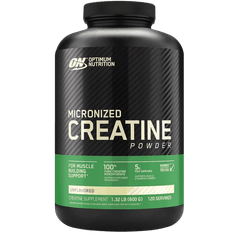 Creatina Micronizada Em Pó (600g) Optimum Nutrition